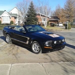 Meet your Posher, Louison